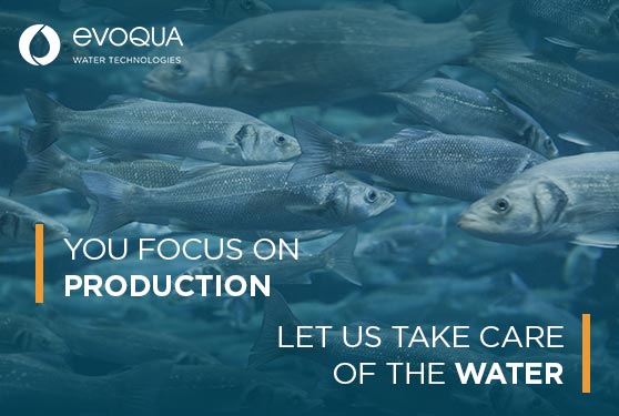 Choosing the Right Solution for Your Aquaculture Needs