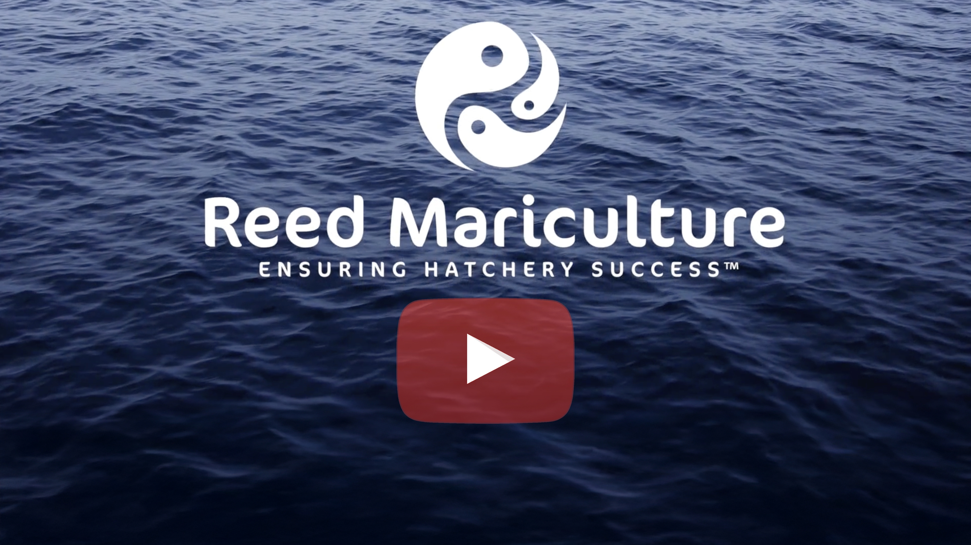 Reed Mariculture - Ensuring Hatchery Success