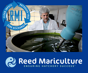 Reed Mariculture 