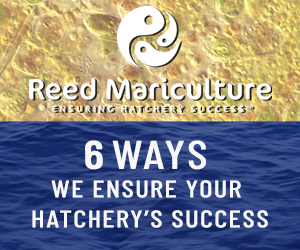 Reed Mariculture