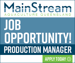 HI|Mainstream Aquaculture QueenslandPty Ltd|0115617|BB1