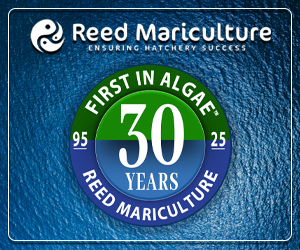 Sponsored Spotlight Ad