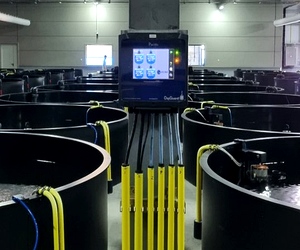 Sponsored Spotlight Ad