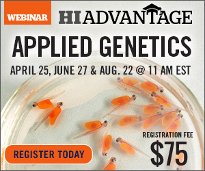 Sponsored Spotlight Ad