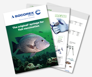 Sponsored Spotlight Ad