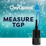 Sponsored Spotlight Ad