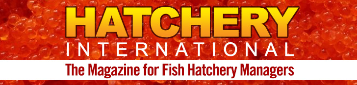 Hatchery International