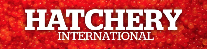 Hatchery International