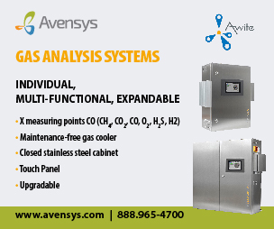 IPPT|Avensys Solutions|113967|SS1