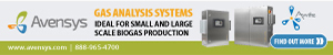 IPPT|Avensys Solutions|113967|LB1