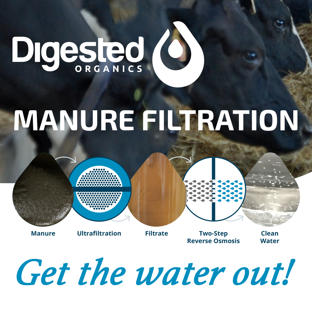 Digested Organics