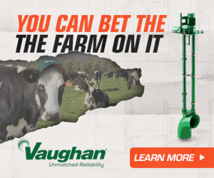 Sponsored Spotlight Ad