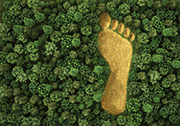 Environmental Footprint