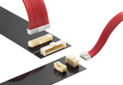 Molex