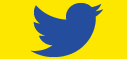 twitter icon