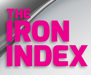 Iron Index