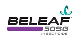 Beleaf logo