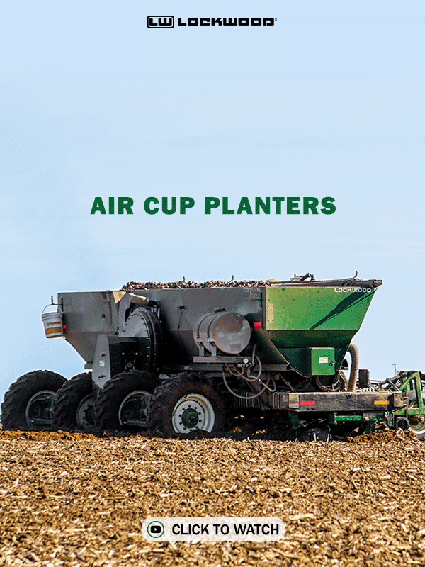 Air Cup Planters | Spring 2024