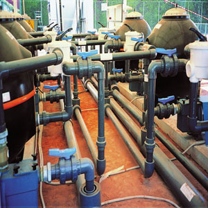 IPEX
