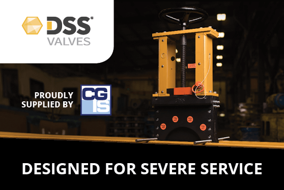 DSS Valves - The Solution for Liquor Applications