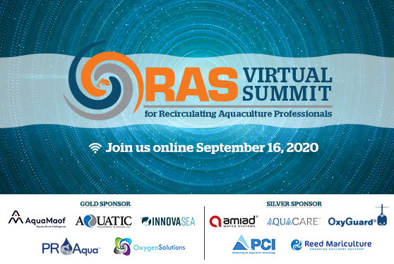 <center>RAS Virtual Summit 2020</center>