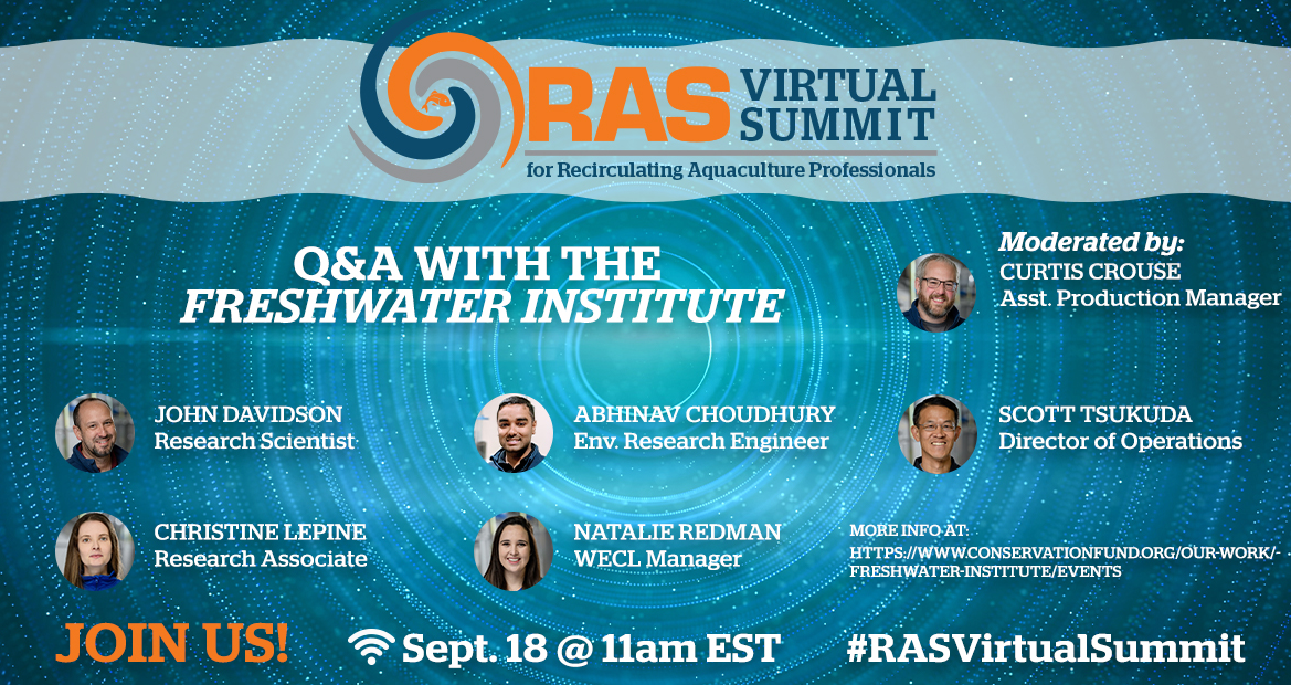 <center>RAS Virtual Summit Q&A with the Freshwater Institute</center>