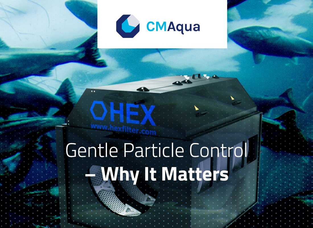 Particle Design(fish) How you handle particles plays a key role in system stability and fish ...