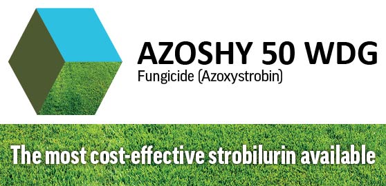 <b>Protection for up to 28 days with the most cost-effective Strobi available for your spring diseases: Fusarium; Leaf Spot & Melting Out</b>