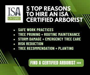 Sponsored Spotlight Ad