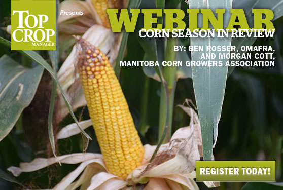 Reviewing this year’s corn season