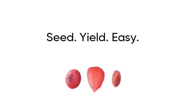 Seed. Yield. Easy.
