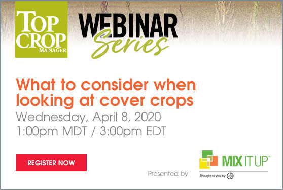 What to consider when looking at cover crops