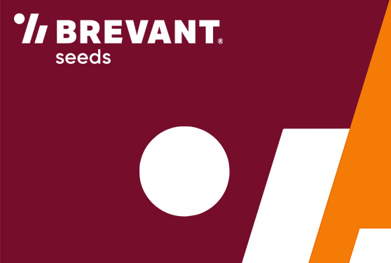 3 reasons to look at Brevant® seeds this fall