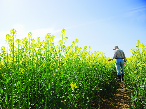 FREE Farm Business Planning Guide