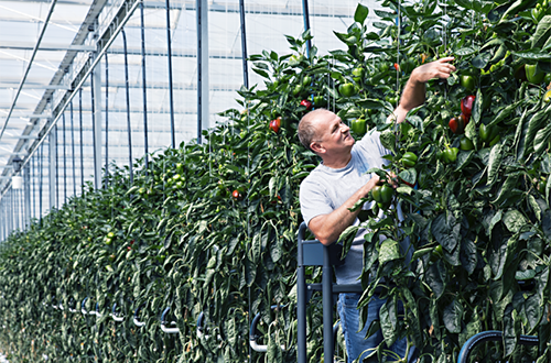 FREE Farm Risk Management Guide