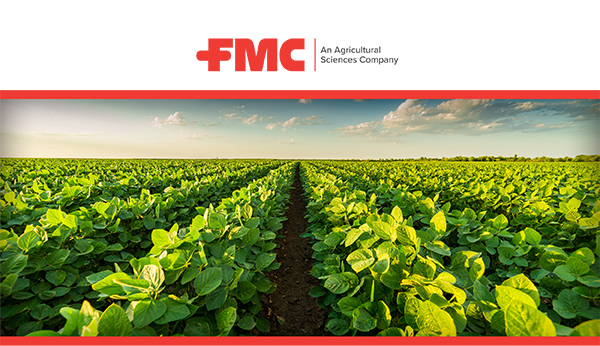 Timing is everything in soybean weed control