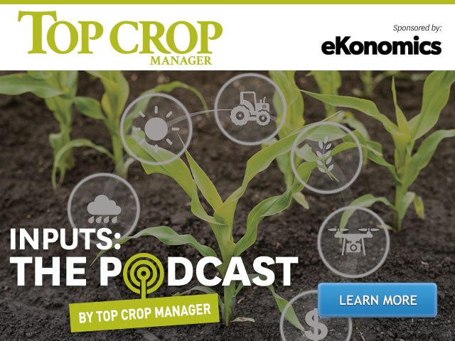 <center>Podcast: Growing winter wheat after a bad season</center>