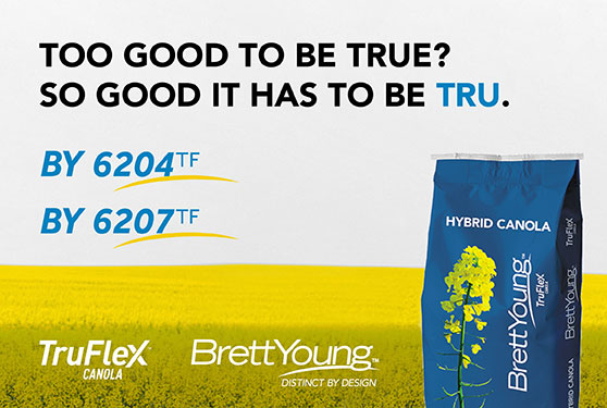 New From BrettYoung: TruFlex™ Canola with Roundup Ready<sup>®</sup> Technology