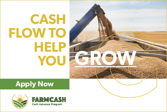 <center><i>FarmCash</i> makes your cash flow management easier</center>