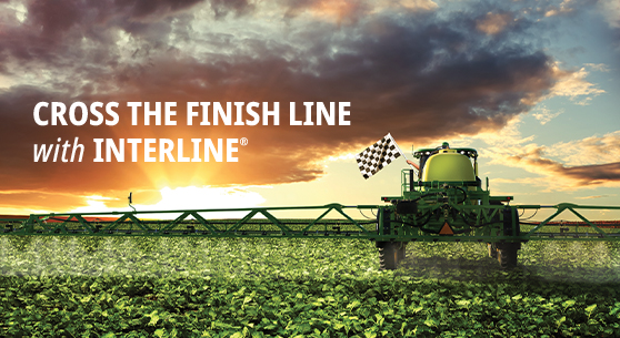 Cross the finish line with Interline