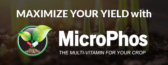 Maximize your yield with MicroPhos