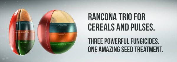 RANCONA TRIO FOR CEREALS AND PULSES. THREE POWERFUL FUNGICIDES. ONE AMAZING SEED TREATMENT