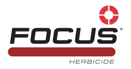 Focus
