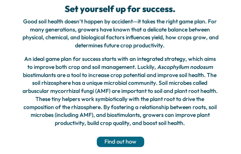 Set yourself up for success.