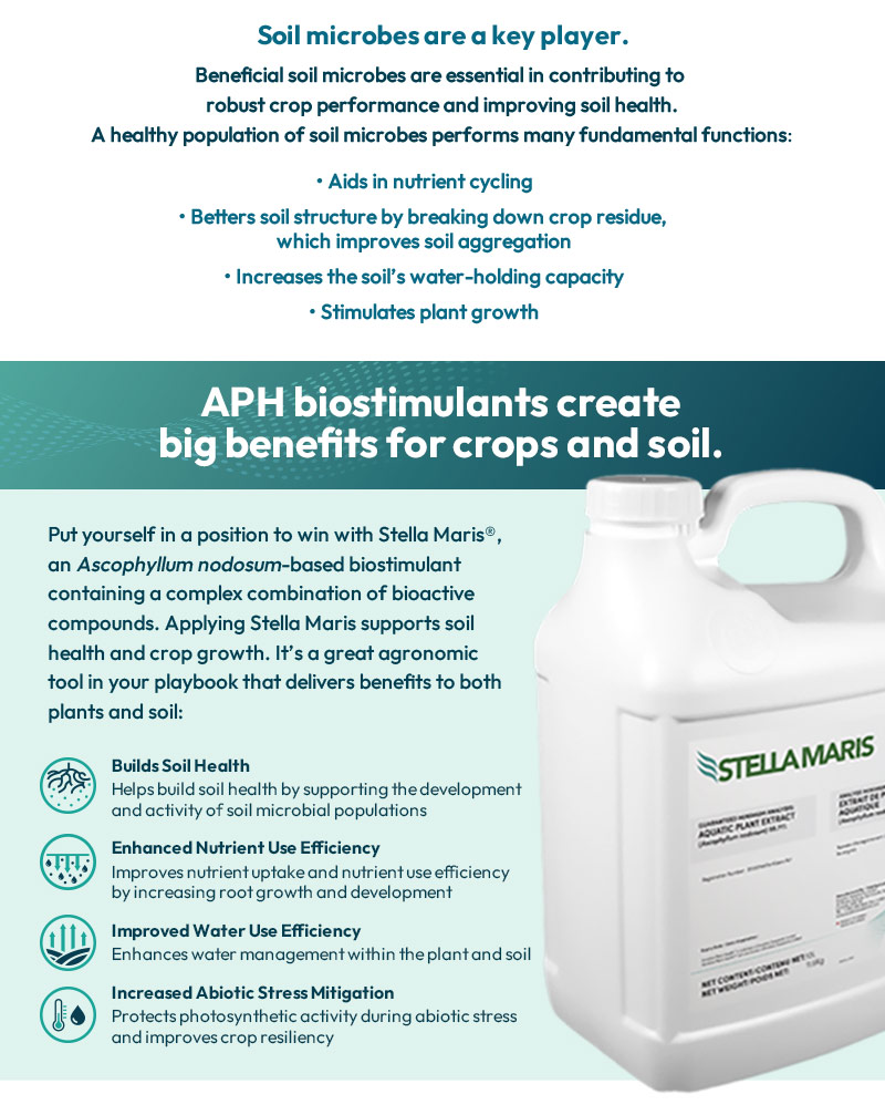 Soil microbes are a key player