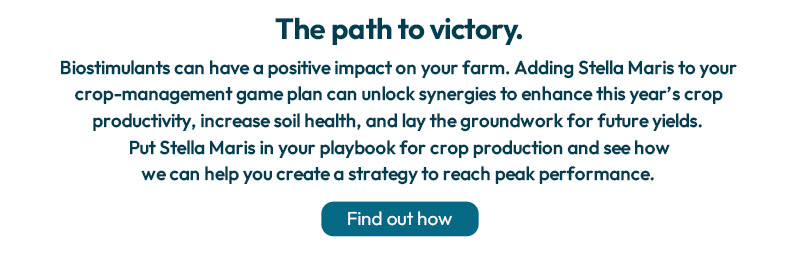 The path to victory