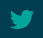 Twitter icon
