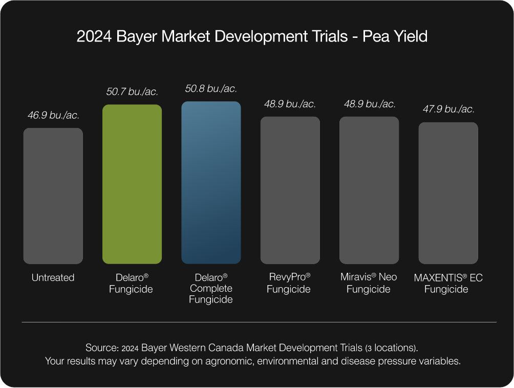 Bar graph showing 2024 pea yield in bushels per acre for untreated crops versus crops treated with Delaro, Delaro Complete, RevyPro, Miravis Neo, and MAXENTIS EC. Delaro Complete has the highest yield.