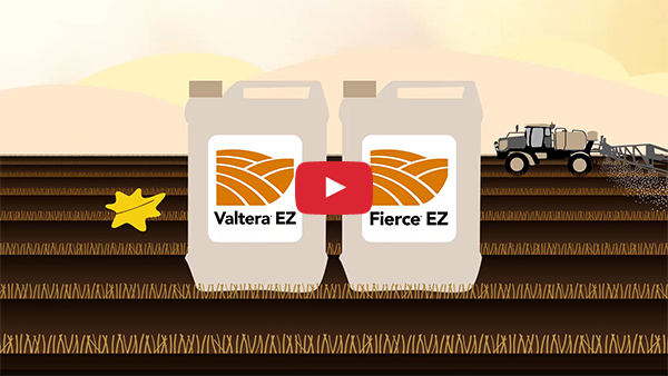 How Soil Actives Work video