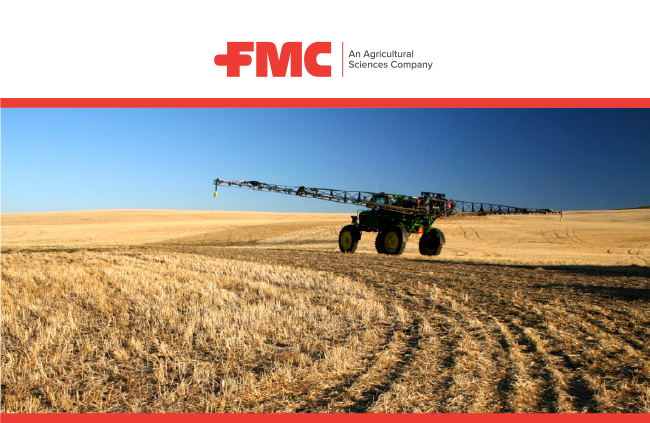 Take Out Weeds This Fall to Start Spring Clean